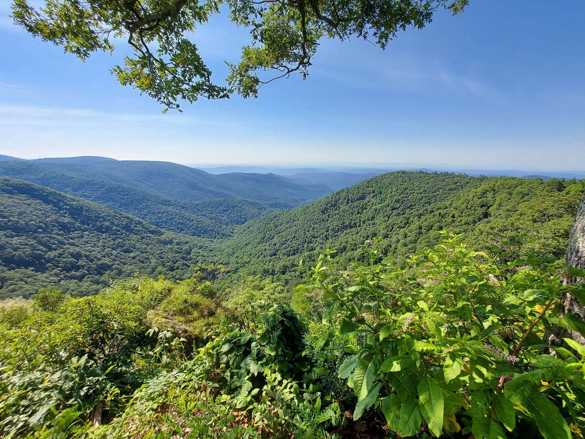 Wildcat Rock Overlook